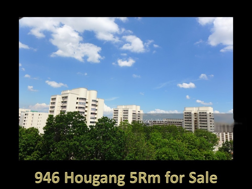 Blk 946 Hougang Street 92 (Hougang), HDB 5 Rooms #130561542